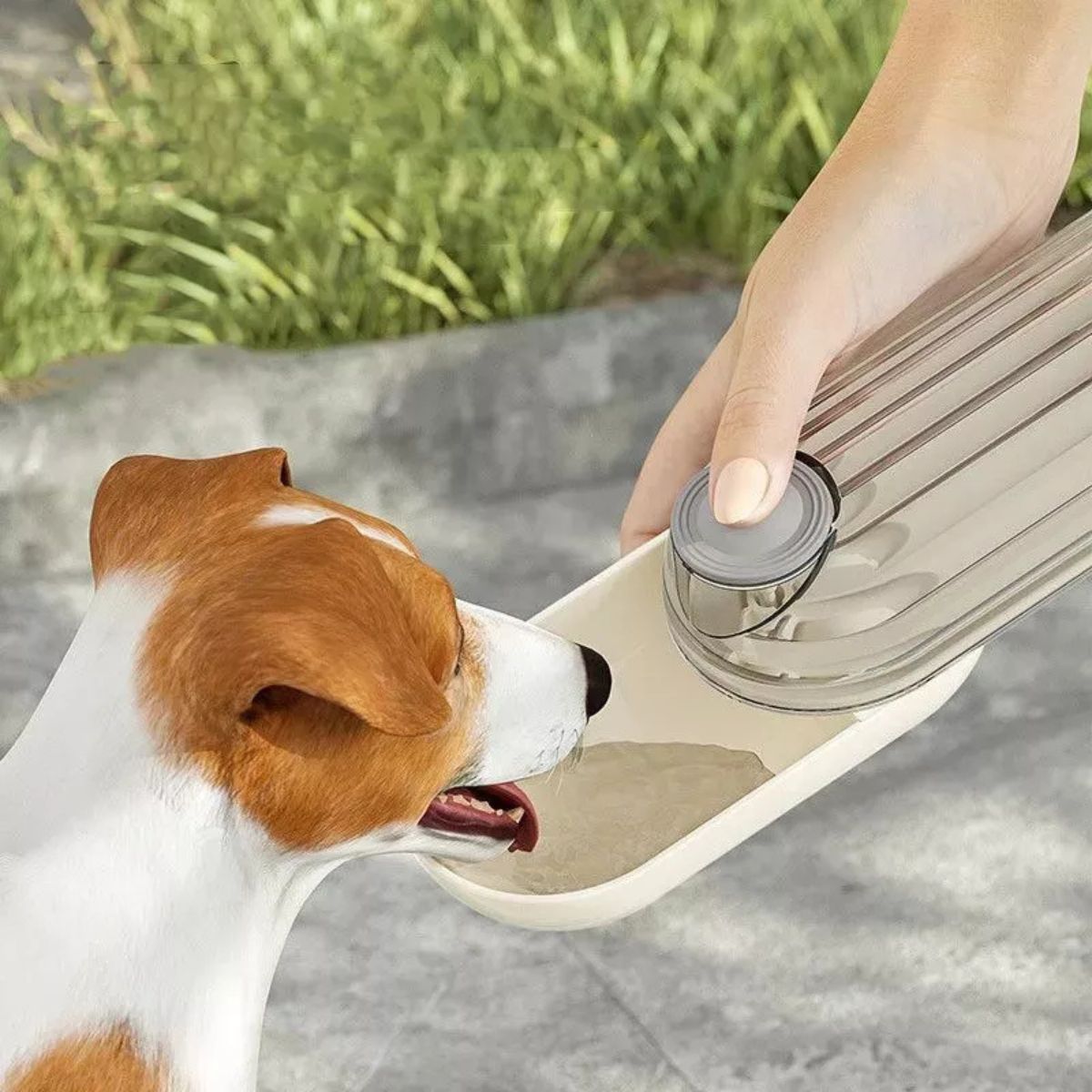 Garrafa de Água Portátil Para Animais de Estimação 200ml